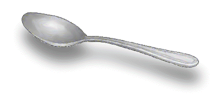 Spoon